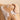 Hand applying soap to skin with a beige background