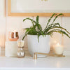 Candle Snuffer - Gold