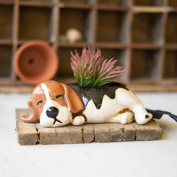Ceramic Beagle Planter with air plant on a wooden plank.
