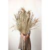 Dried Palm Fan - Natural