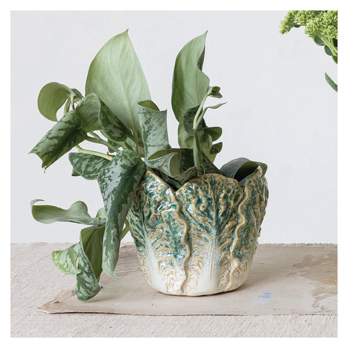 Stoneware cabbage shaped planter with a reactive glaze with a lovely plant inside for display.
