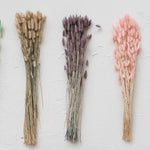 Dried bunny tails in lavender, pink and natural.