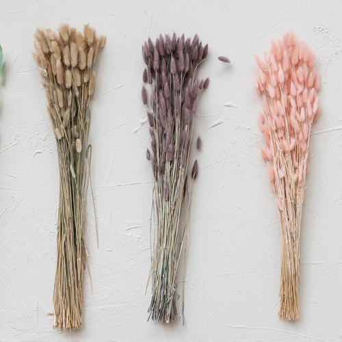 Dried bunny tails in lavender, pink and natural.