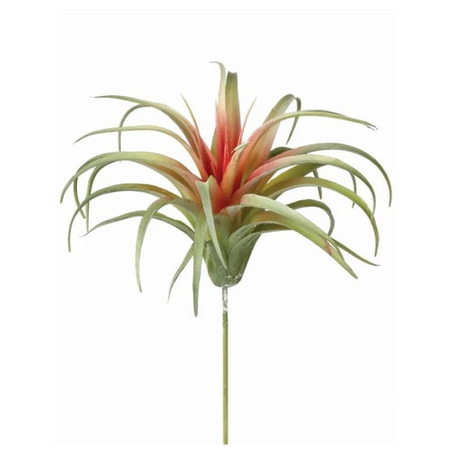 Faux air plant with red and green. 