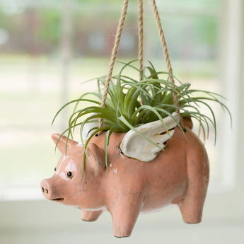Ceramic Hanging Flying Pig Planter with airplants