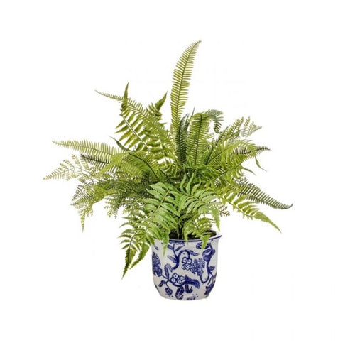 Natural mixed artificial fern in a blue and white ceramic pot.