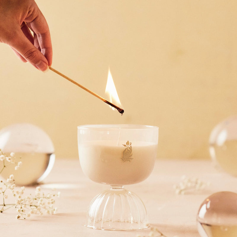 Prosecco scented candle in a glass coupe being lit with a long wooden match. 