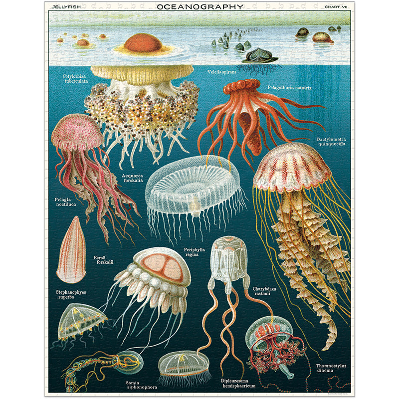 Vintage Puzzle - Jelly Fish