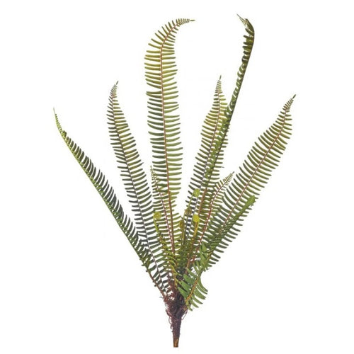 Artificial rooted fern plant.