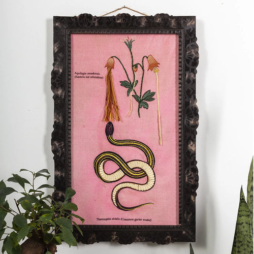 Vipera artwork in bright colours and dark brown antique frame. 