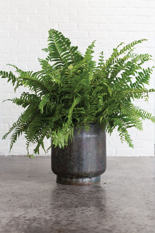 Marshall Planter