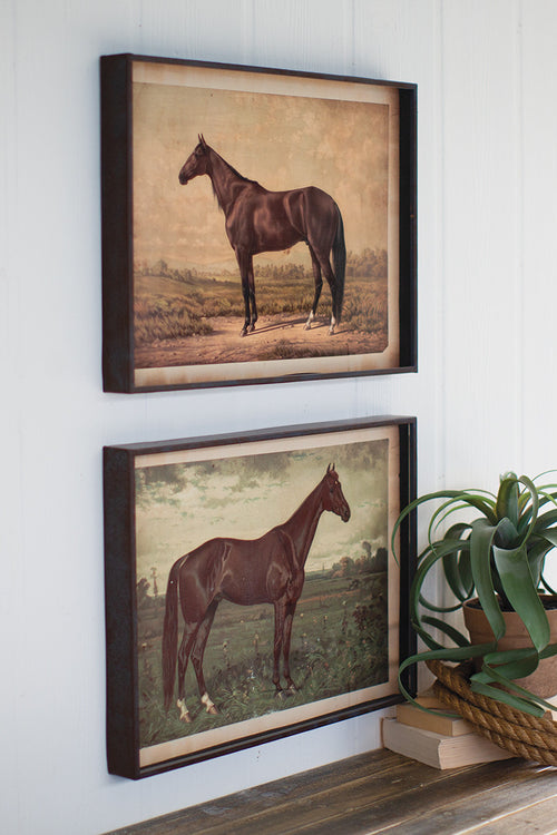 Vintage Wild Horse Print