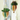 Best-selling ceramic hot air balloon hanging planters in colorful glazes, available in two sizes.