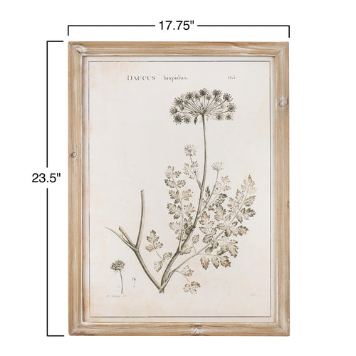 Framed Botanical Print