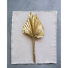 Natural Spear Cut Palm Bunch - Gold