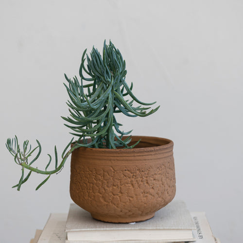 Embossed Stoneware Planter with Pattern