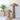 Woven Seagrass Mushroom (local pickup)