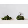 Flocked Dried Natural Pinecones
