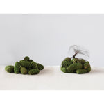 Flocked Dried Natural Pinecones