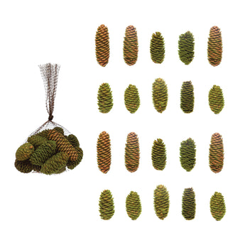 Flocked Dried Natural Pinecones