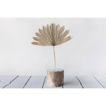 Sun Cut Palm Branch (Pack of 6)