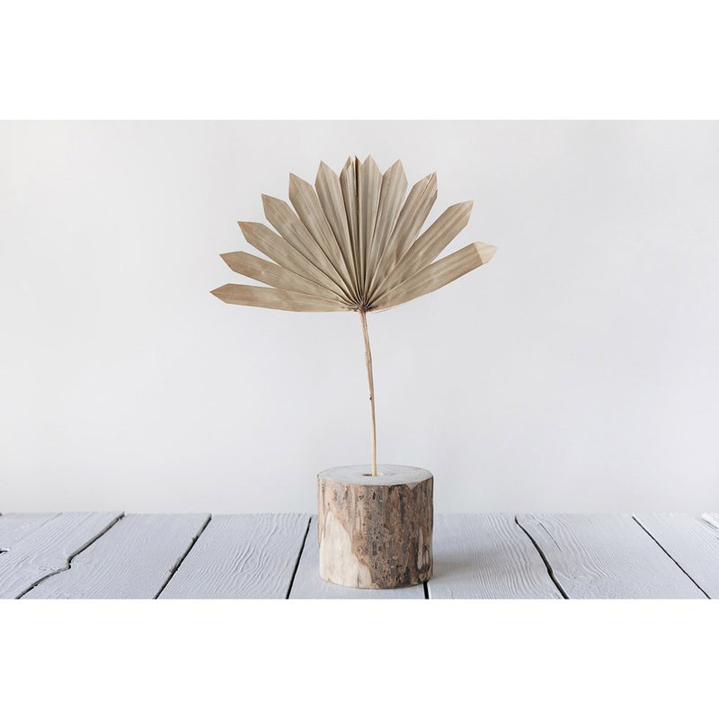 Sun Cut Palm Branch (Pack of 6)
