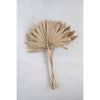 Sun Cut Palm Branch (Pack of 6)