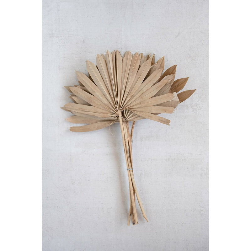 Sun Cut Palm Branch (Pack of 6)