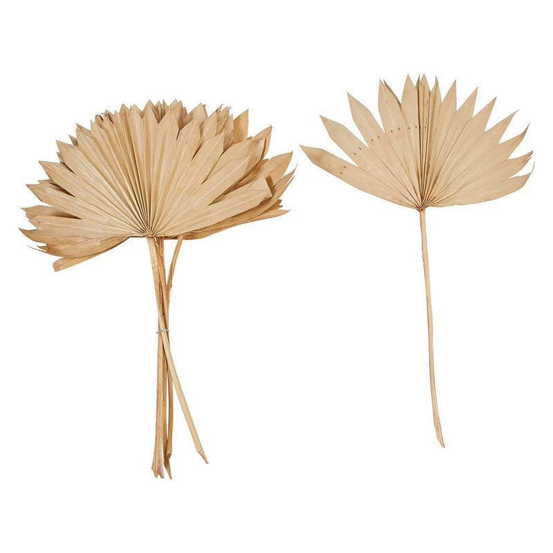 Sun Cut Palm Branch (Pack of 6)