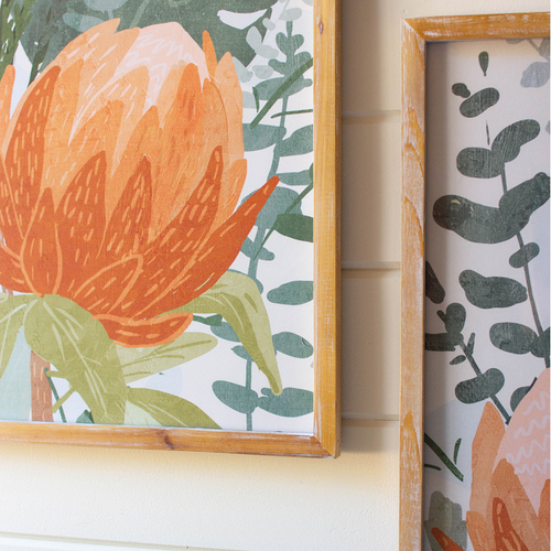 Framed Protea Print