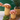Mushroom Canisters