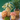 Mushroom Canisters
